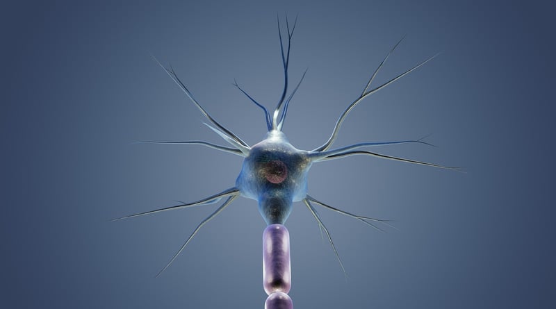 Neural Implant